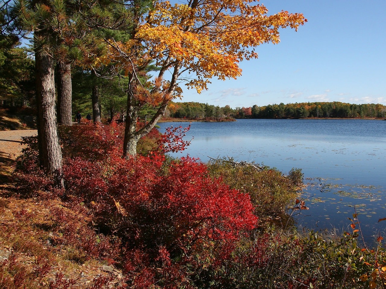 View of Acadia National Park in Maine