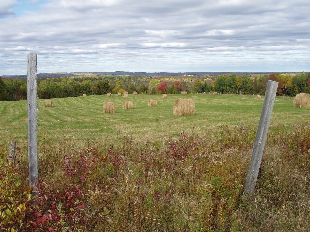 View of Aroostook County, Maine