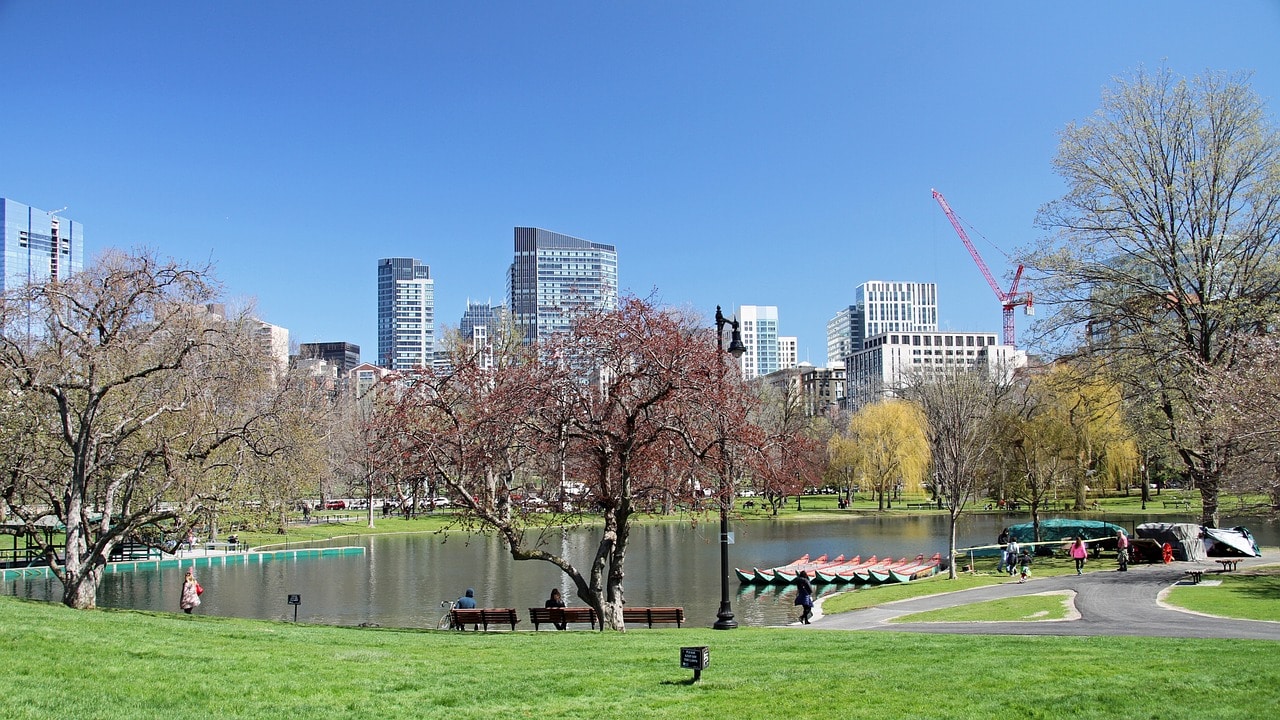The lake in Boston Common
