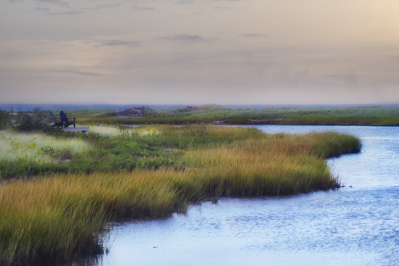 The enchanting nature of Martha's Vineyard