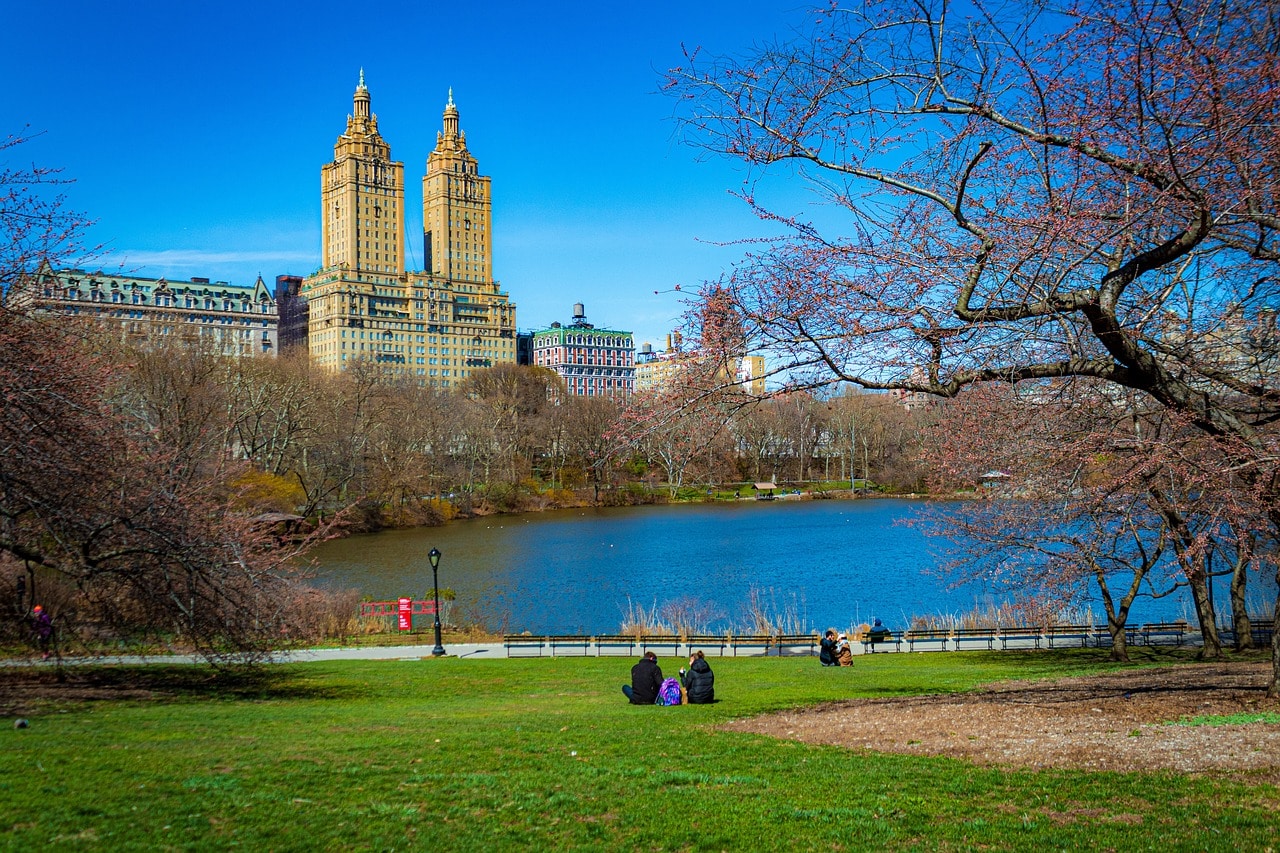 The Great Lawn and the lake facing the Upper West Side