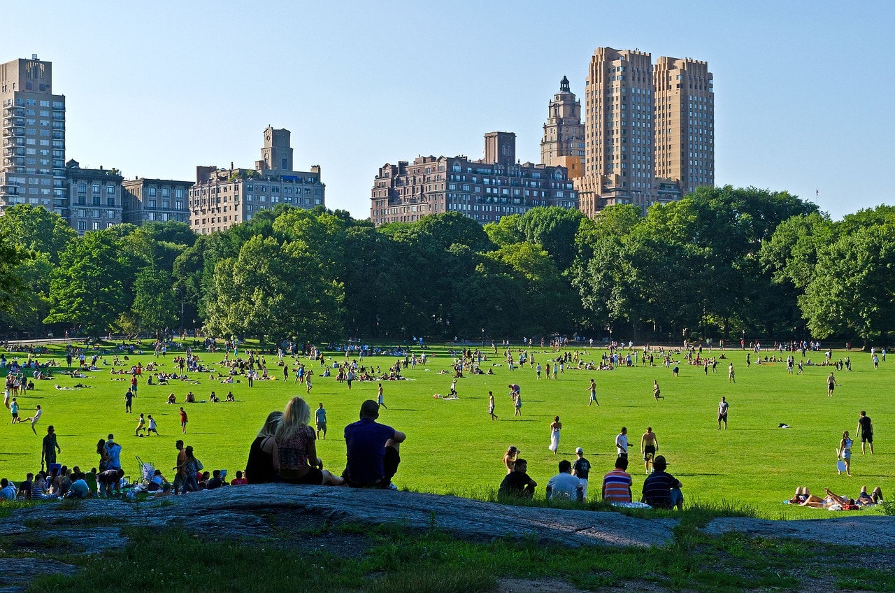 The North Lawn in Central Park
