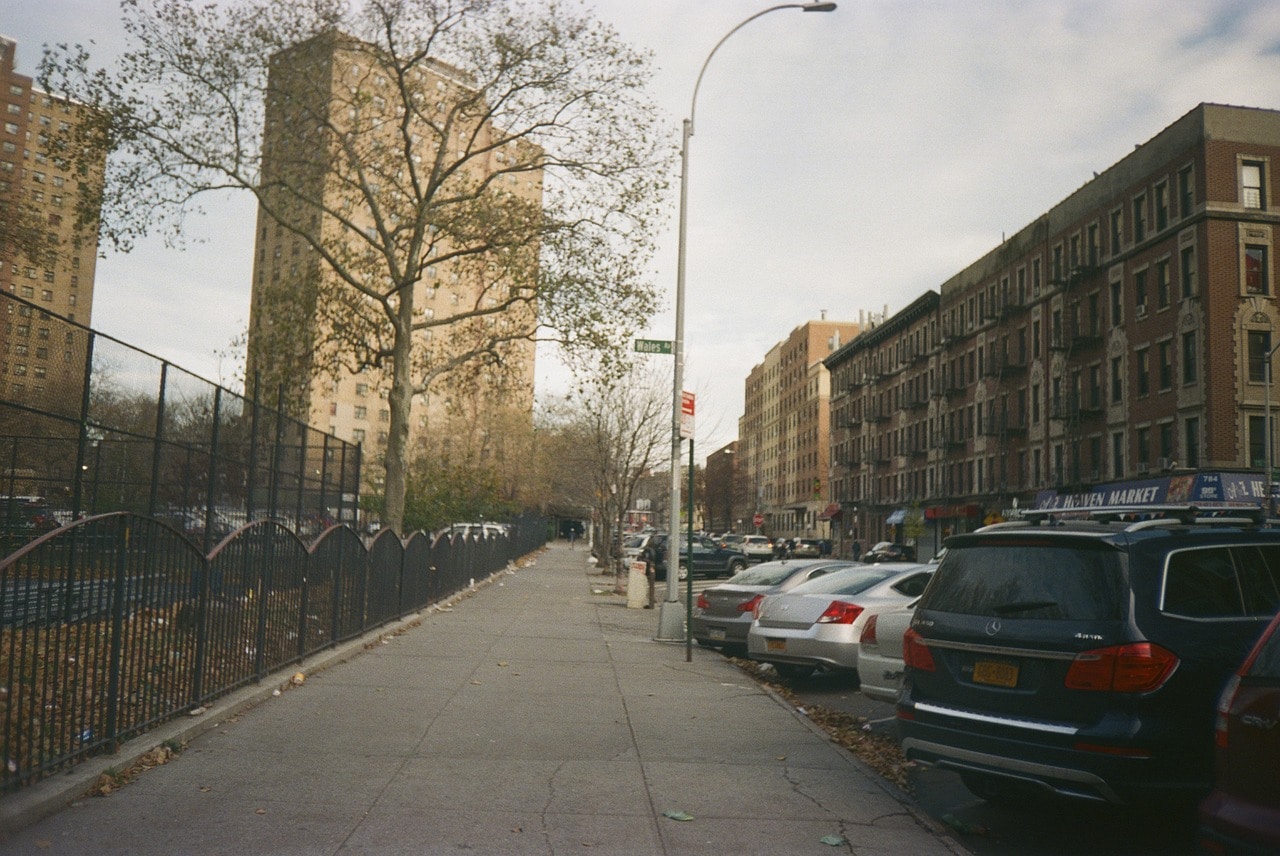 The gray streets of the Bronx borough