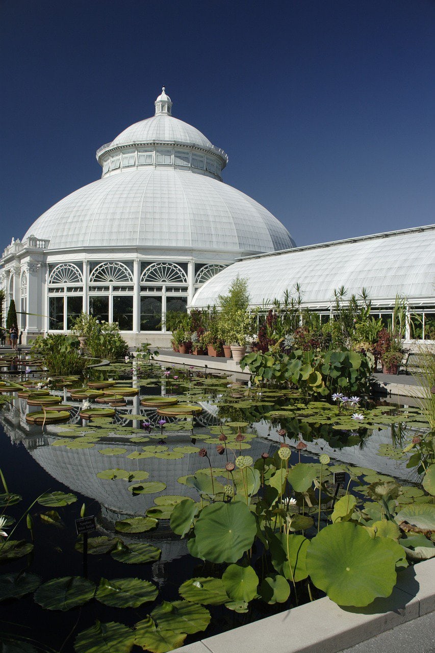 Greenhouse in the Botanical Gardens in the Bronx