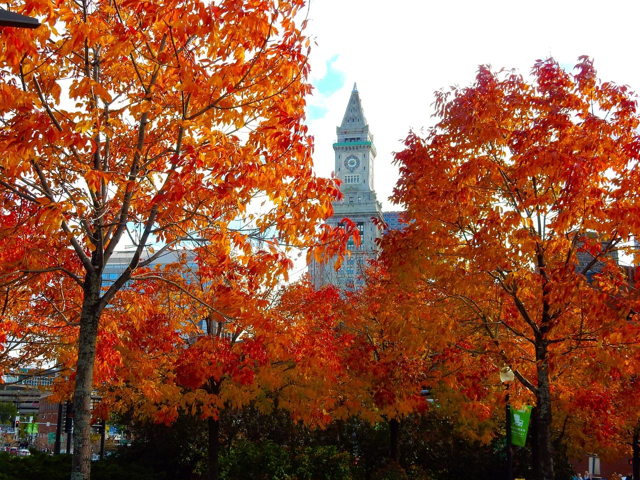 The Custom House Tower above New England's fall foliage in Boston
