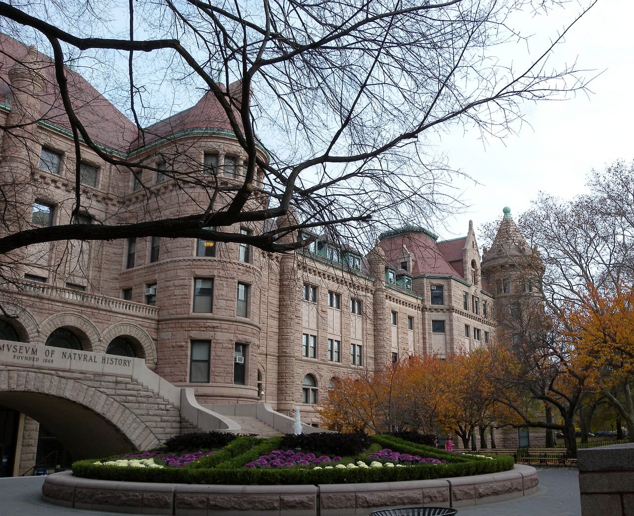 The American Museum of Natural History in New York