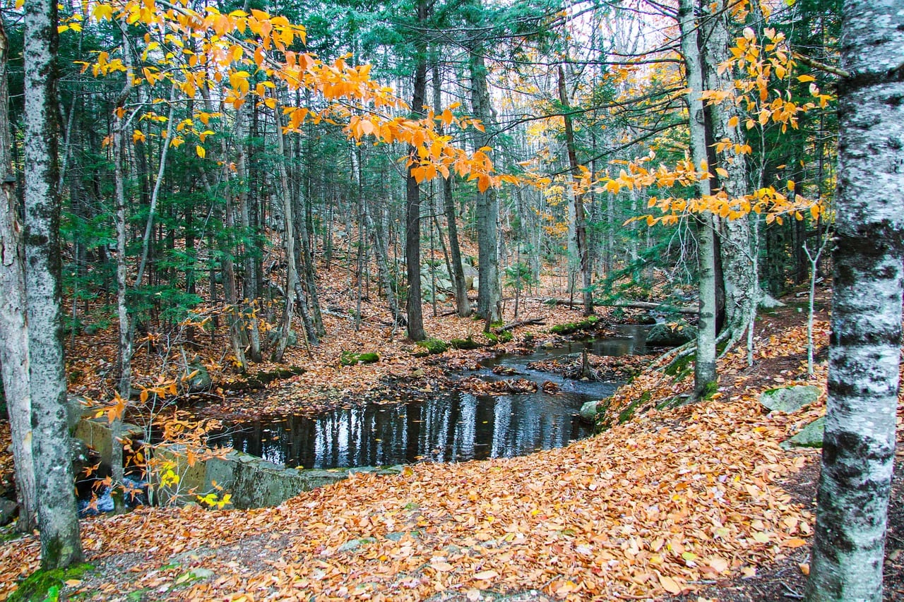 Flume Gorge in Franconia Notch, New Hampshire