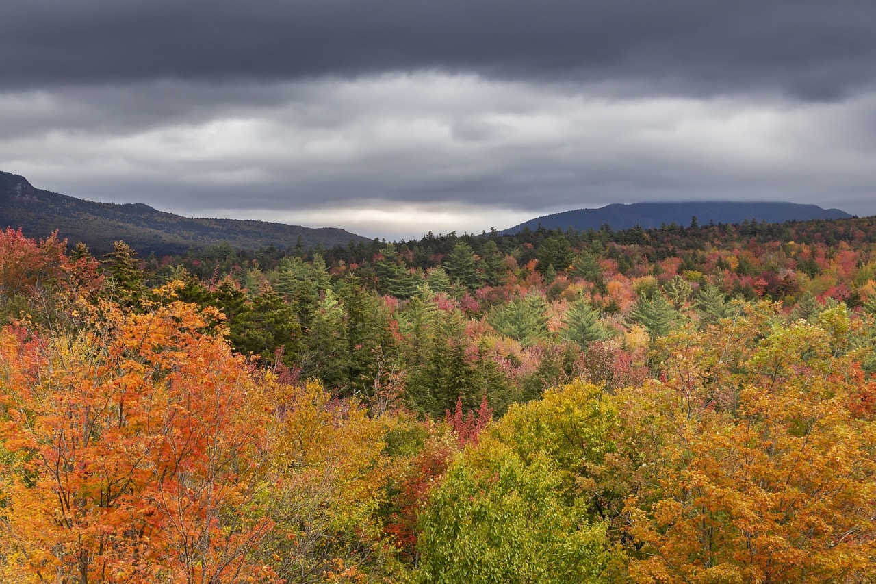 White Mountains Park from the Kancamagus Highway in New Hampshire