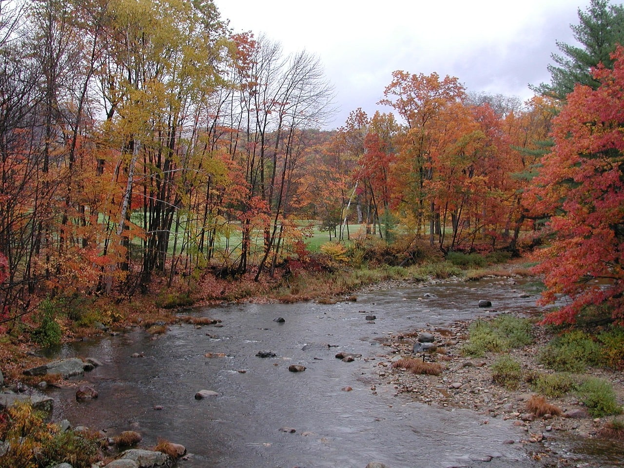 A water stream near Jackson, New Hampshire