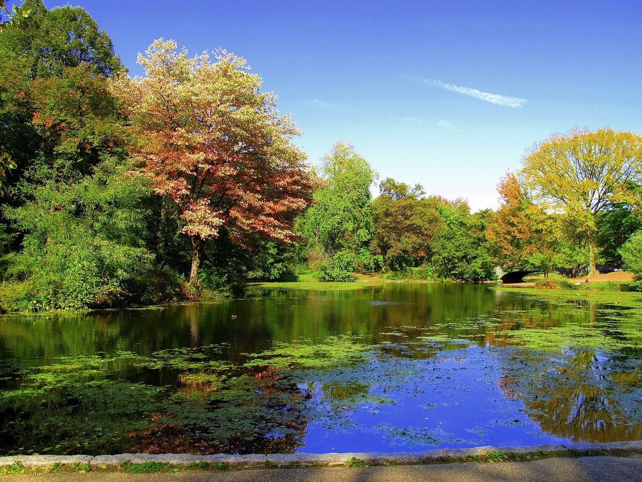 Prospect Park in Brooklyn