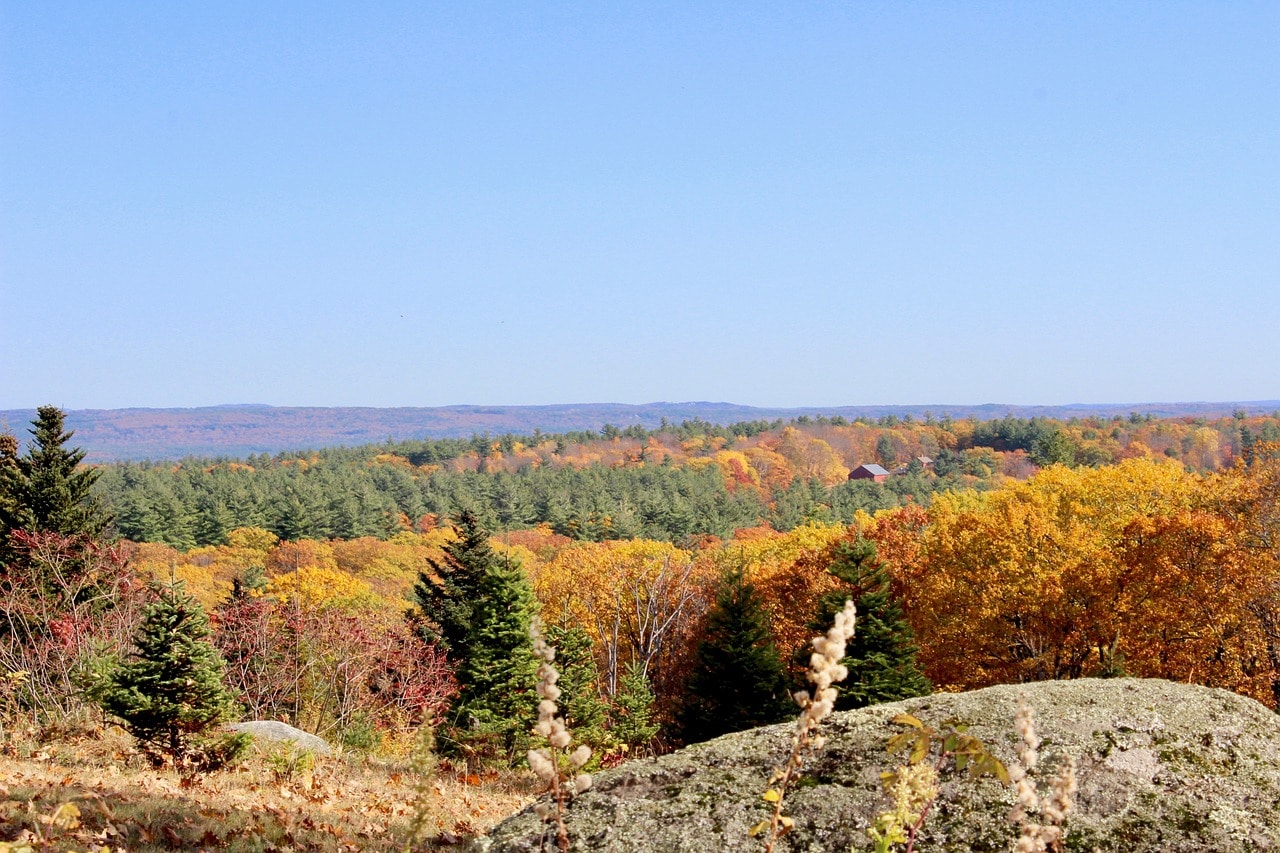 Summer in Southern New Hampshire