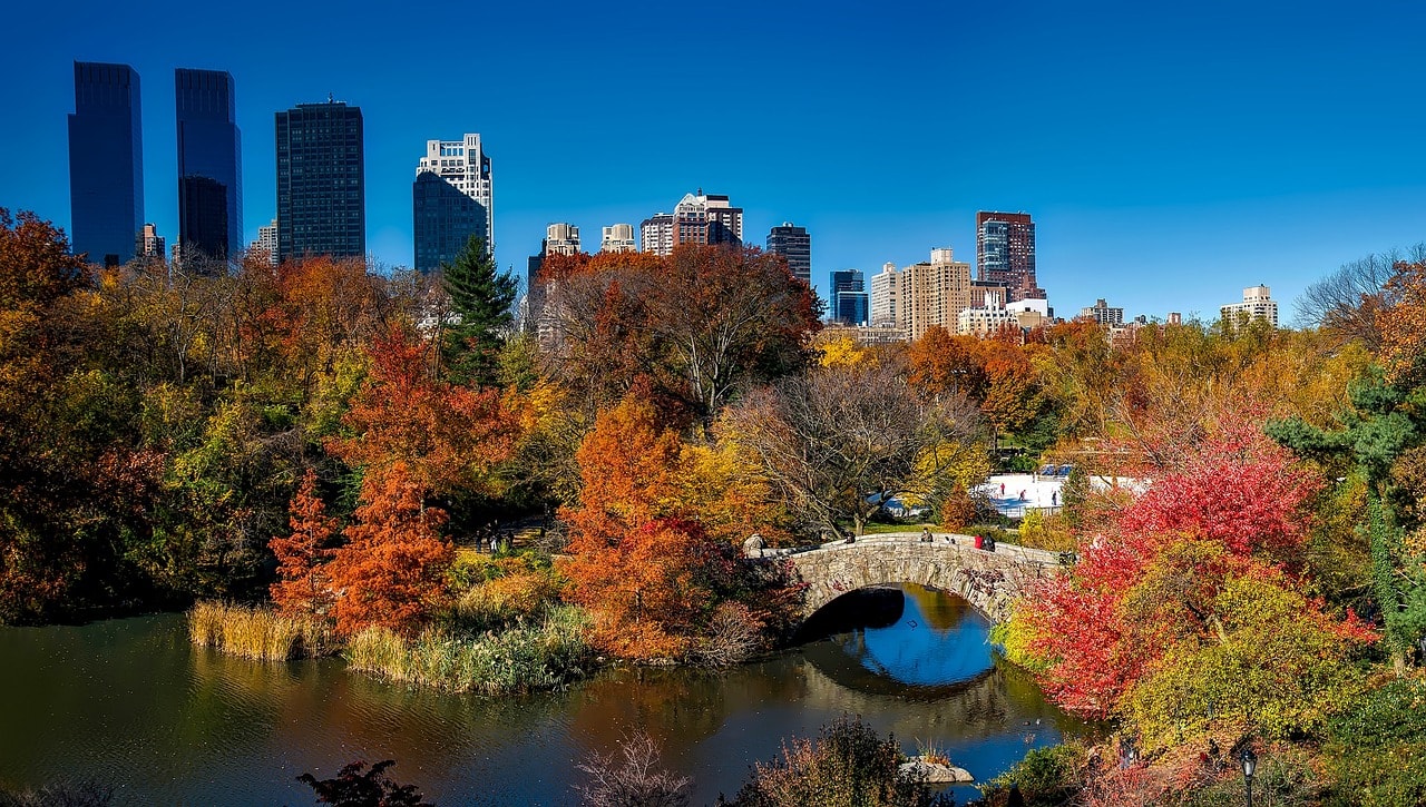Fall foliage in Central Park