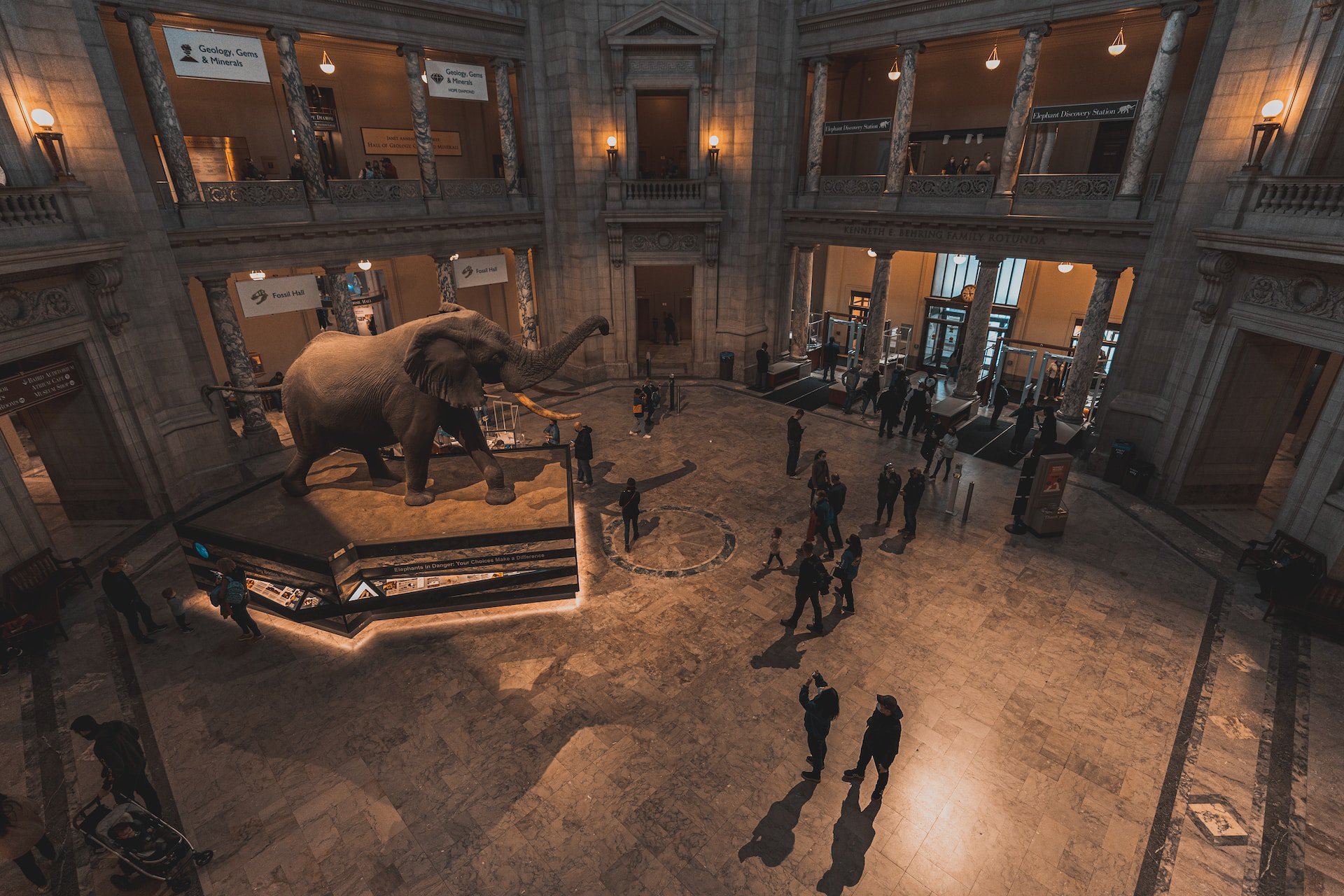 The main hall of the Natural History Museum in Washington