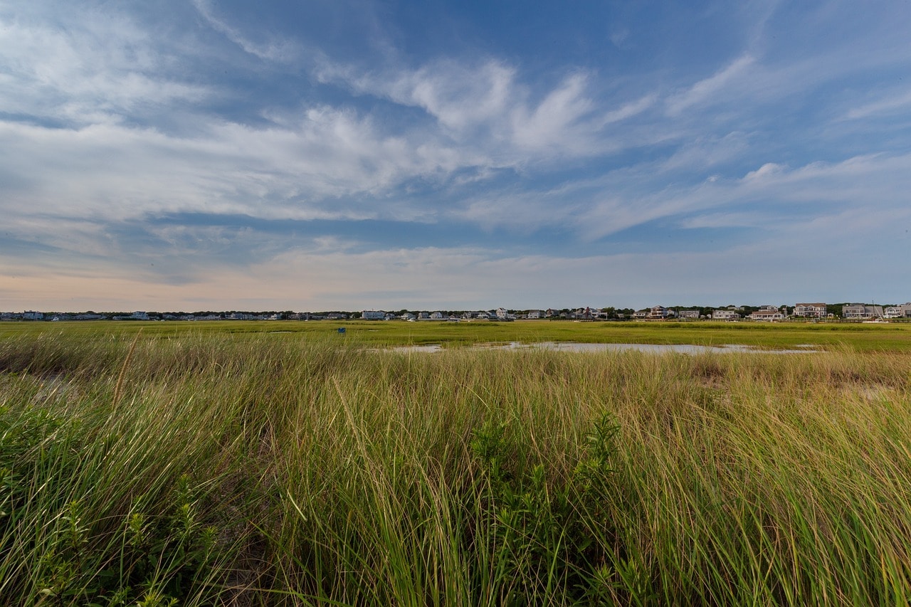 The marshes and nature across from Chatham houses in Cape Cod