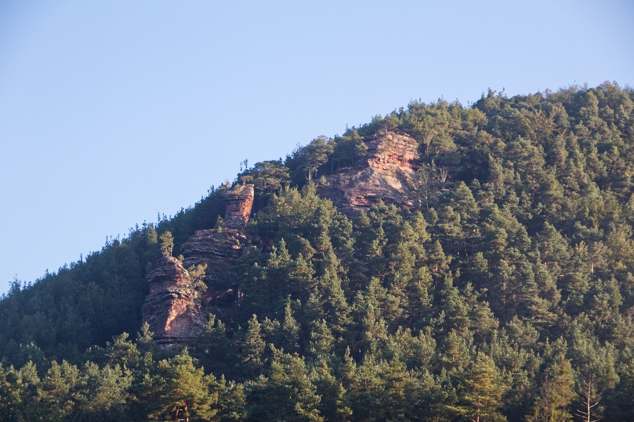 The rocks and forests above Rockland in Penobscot Bay