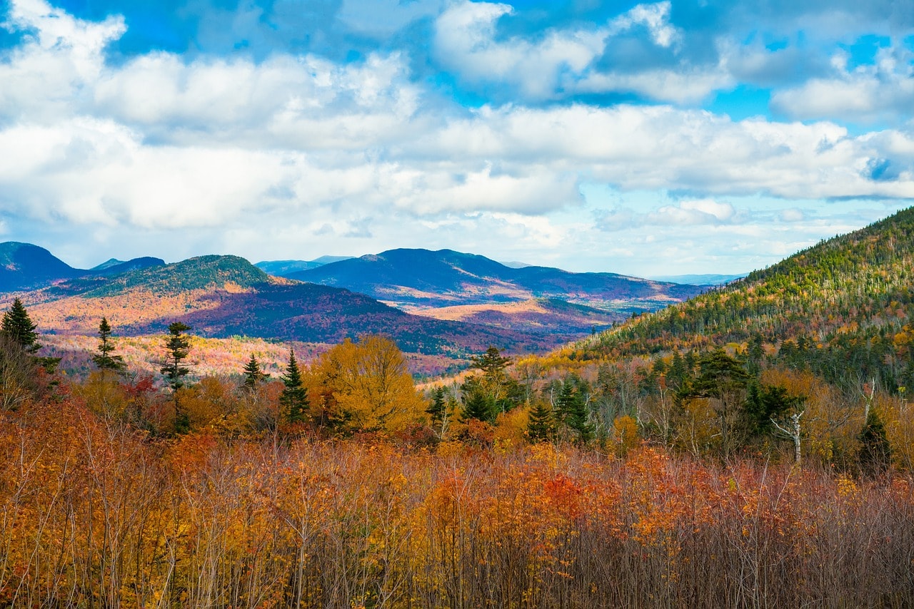The autumn foliage in northern New Hampshire