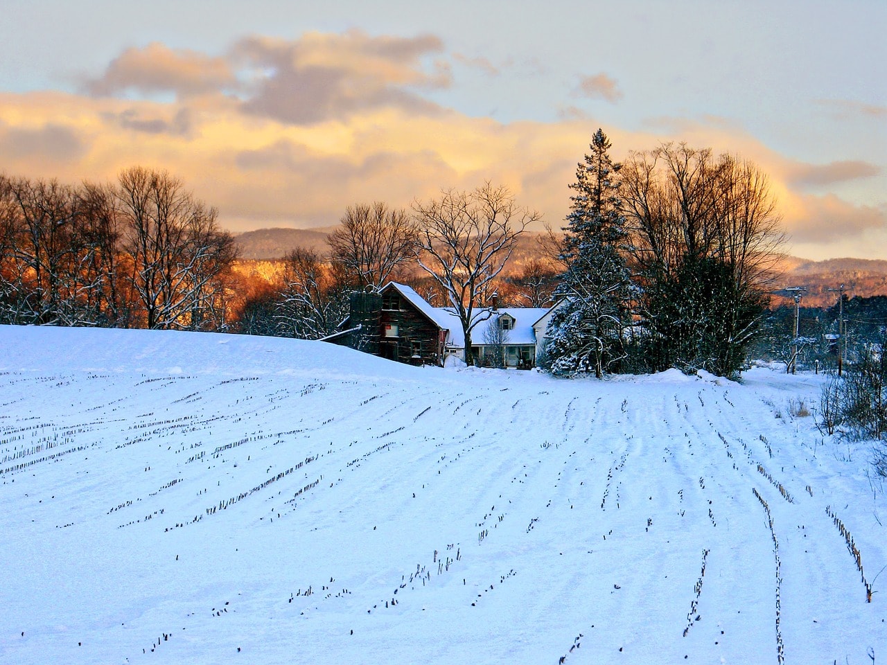 Farm in Vermont in the Snow