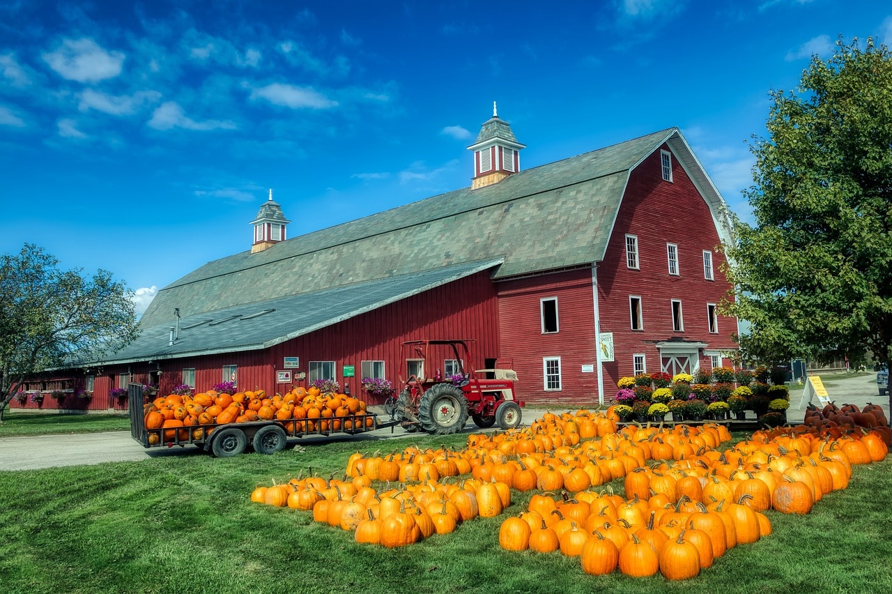 Pumpkin farm near Burlington, Vermont