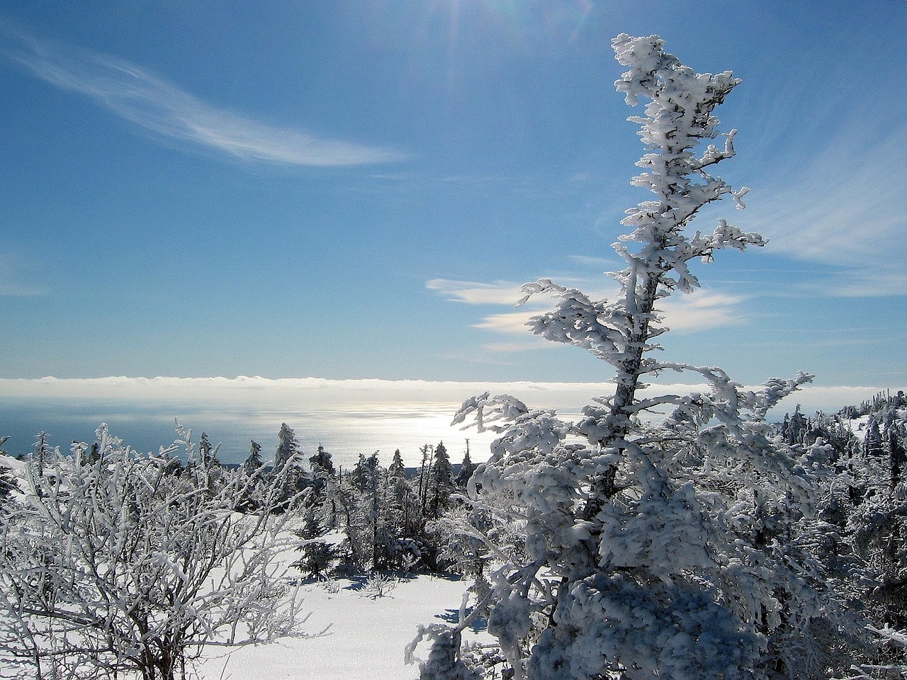 Winter in Acadia National Park, Maine