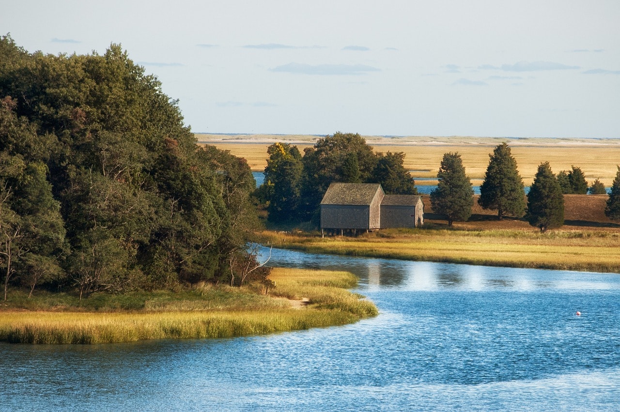 The natural area of South Cape Cod