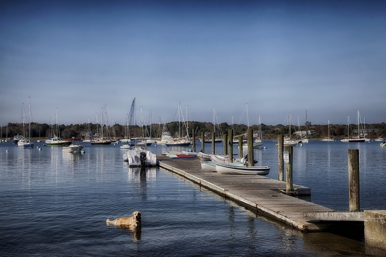 Sailboats in Connecticut