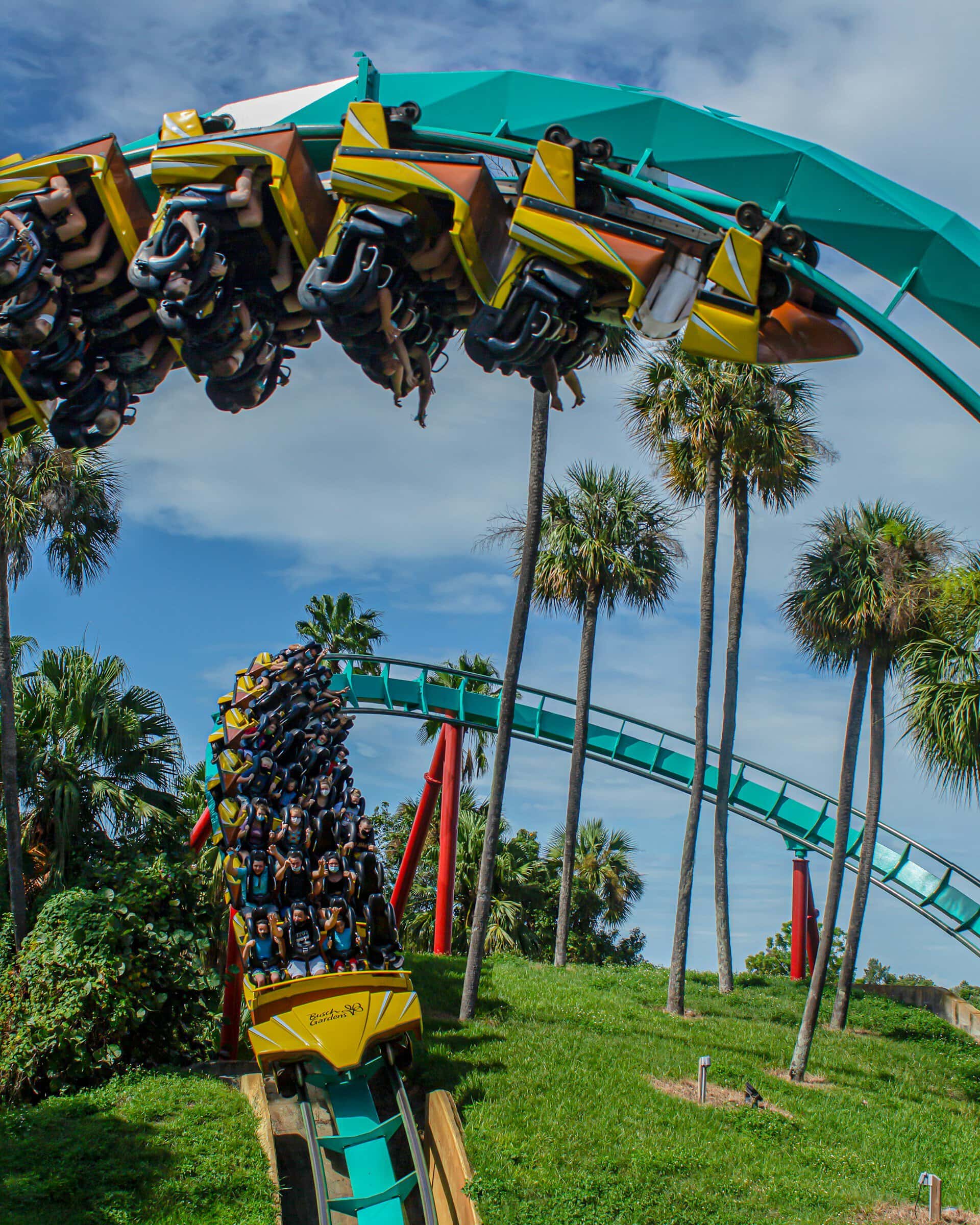 Inverted roller coaster at Busch Gardens in Tampa