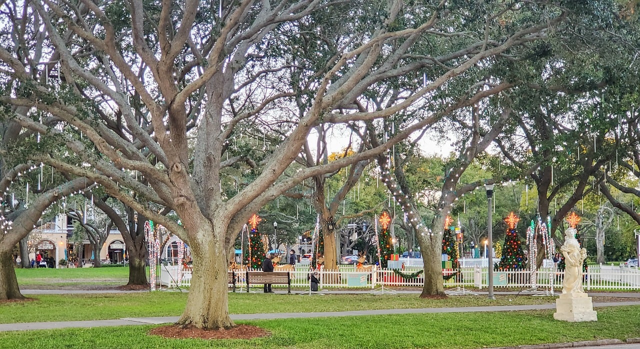 Park in St. Petersburg, Florida