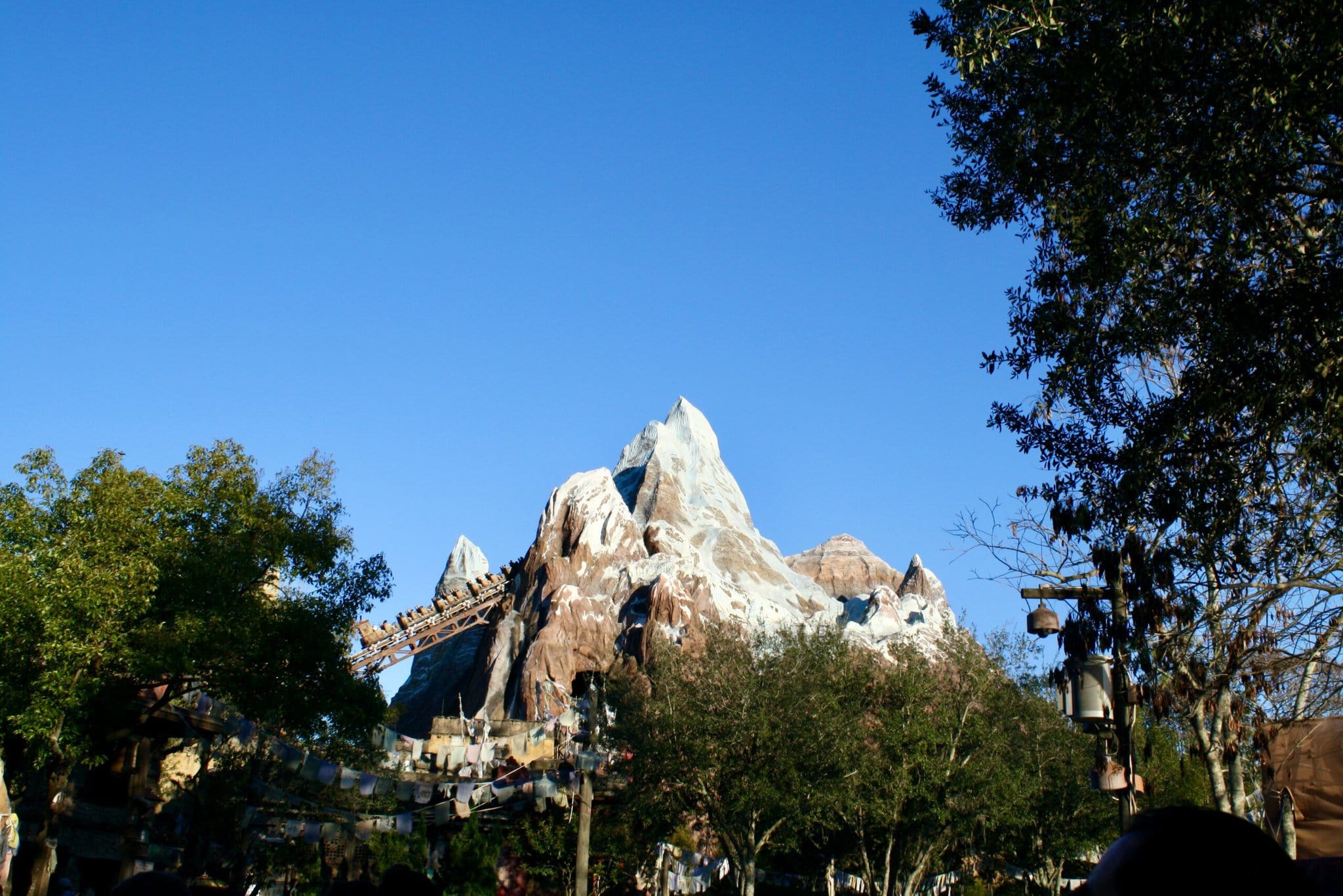 The Everest Roller Coaster at Disney's Animal Kingdom in Orlando