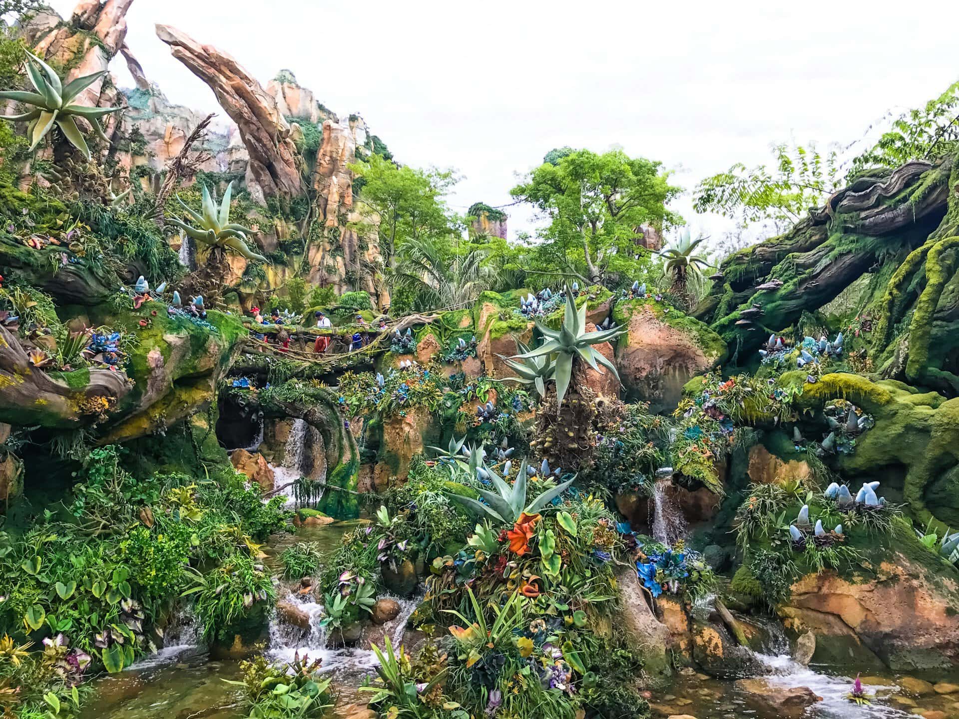 Pandora Forest at Avatar, Disney's Animal Kingdom in Orlando