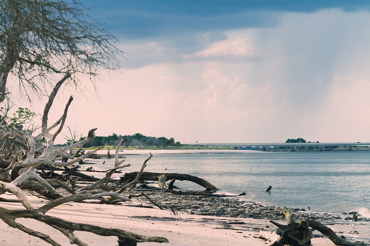 The beach of Big Talbot Island State Park near Jacksonville, Florida