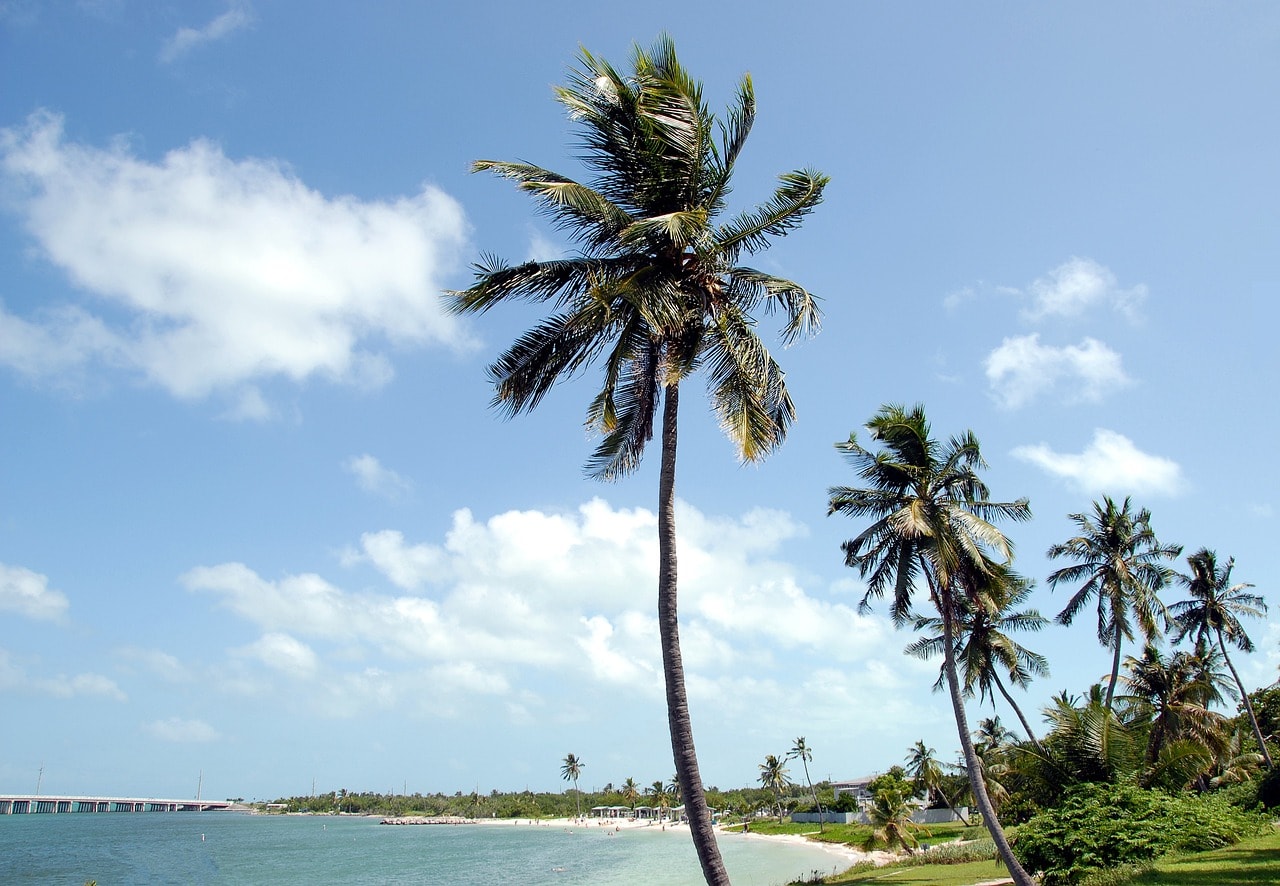 Beach at Bahia Honda State Park