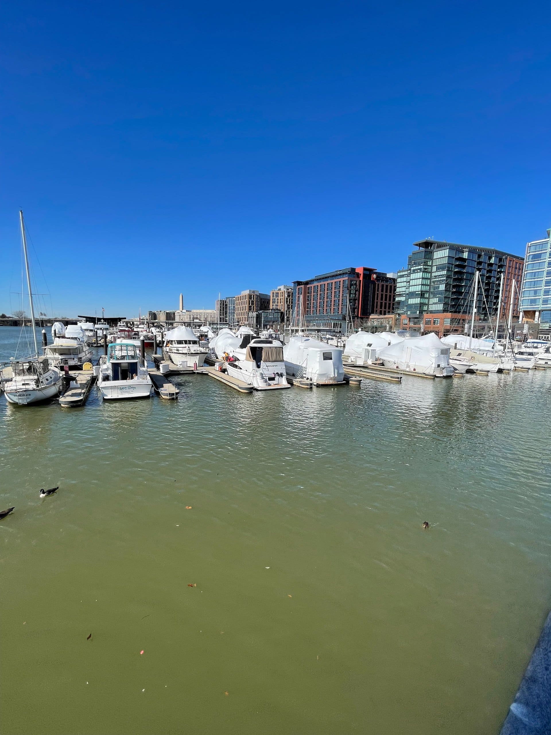 The Wharf at Washington D.C.'s Waterfront