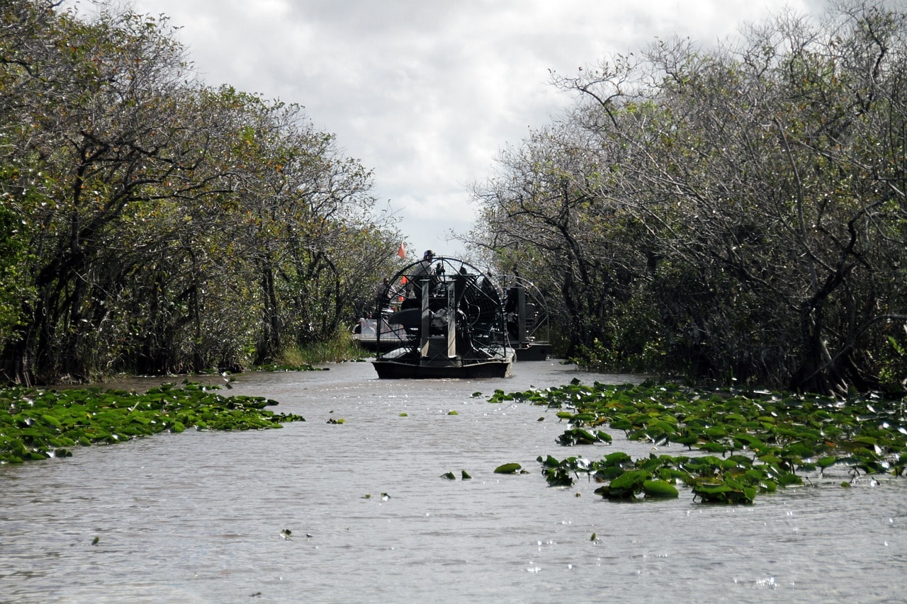 Everglades Boat Tour