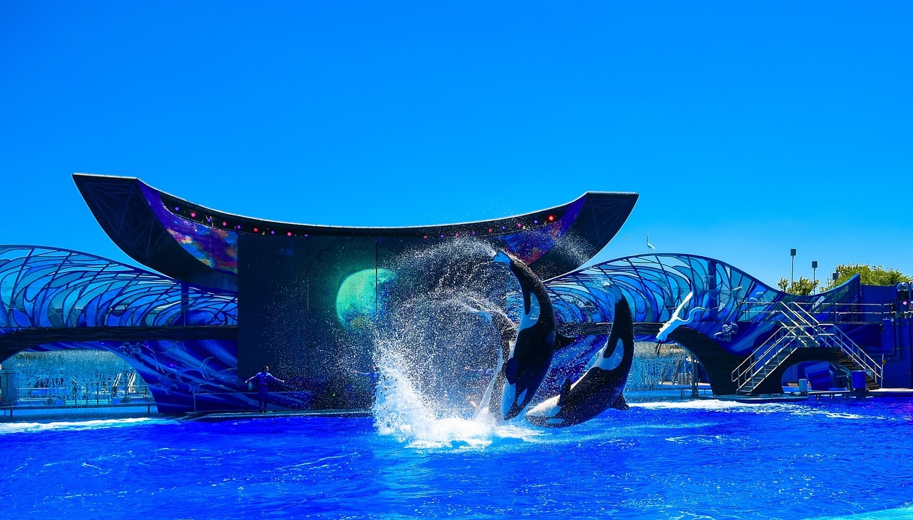 SeaWorld Orlando