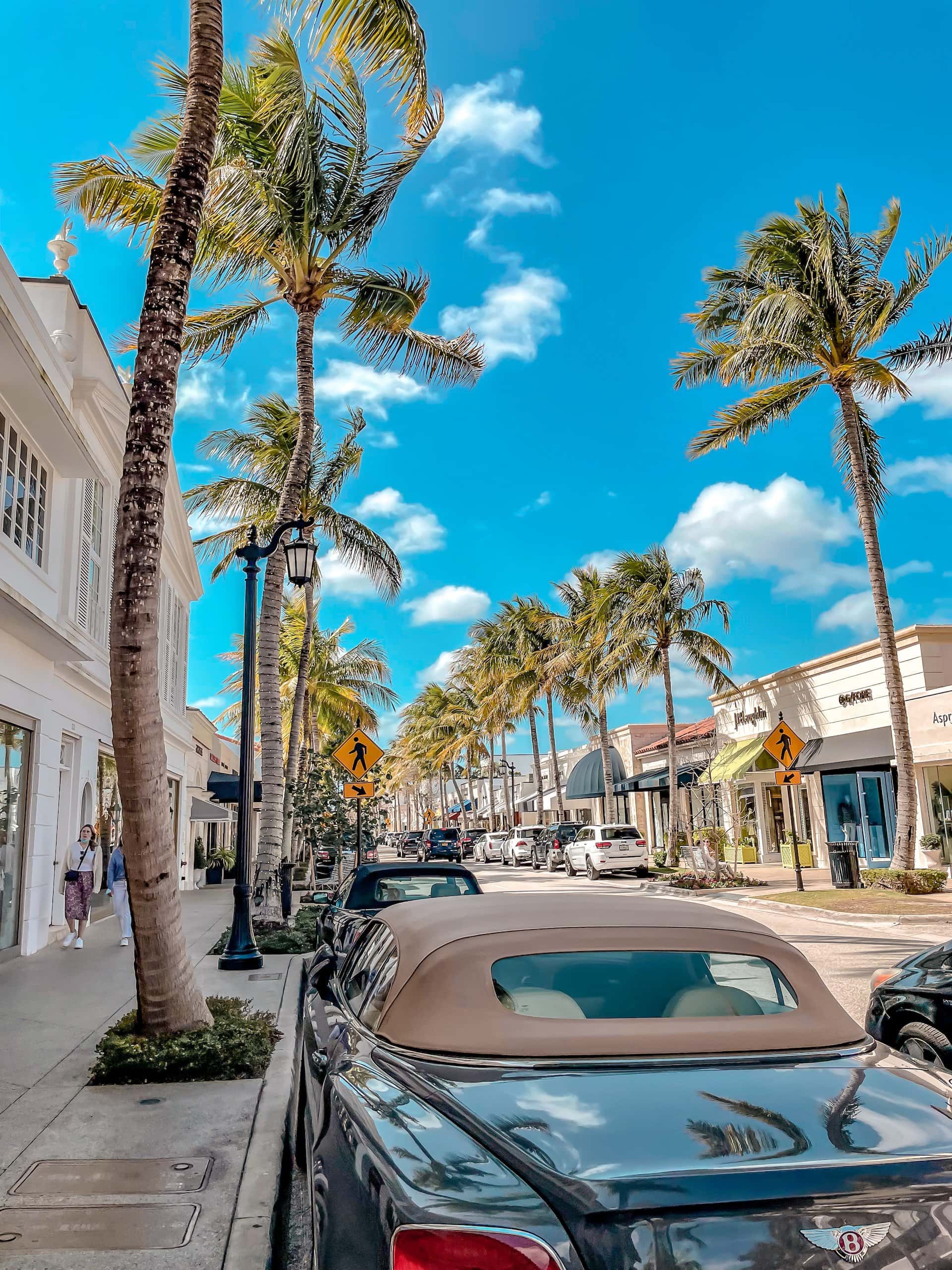 Worth Avenue in Palm Beach