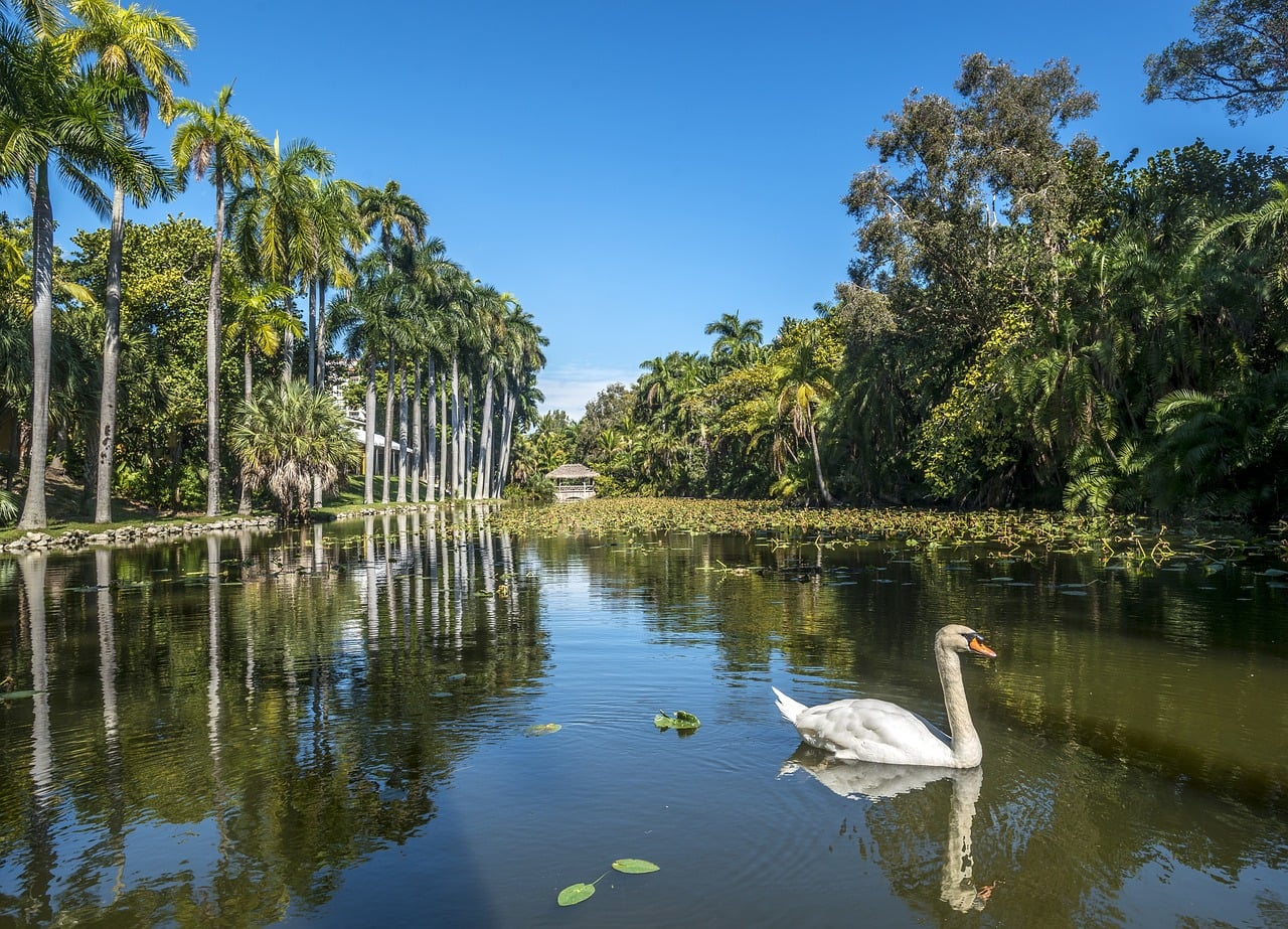 The Tropical Gardens of Bonnet House in Fort Lauderdale