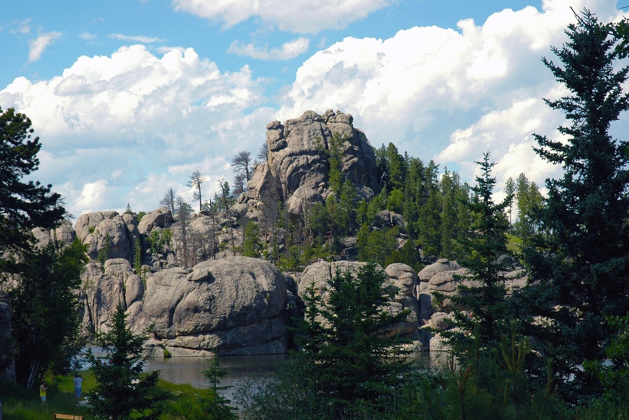 Custer State Park in South Dakota