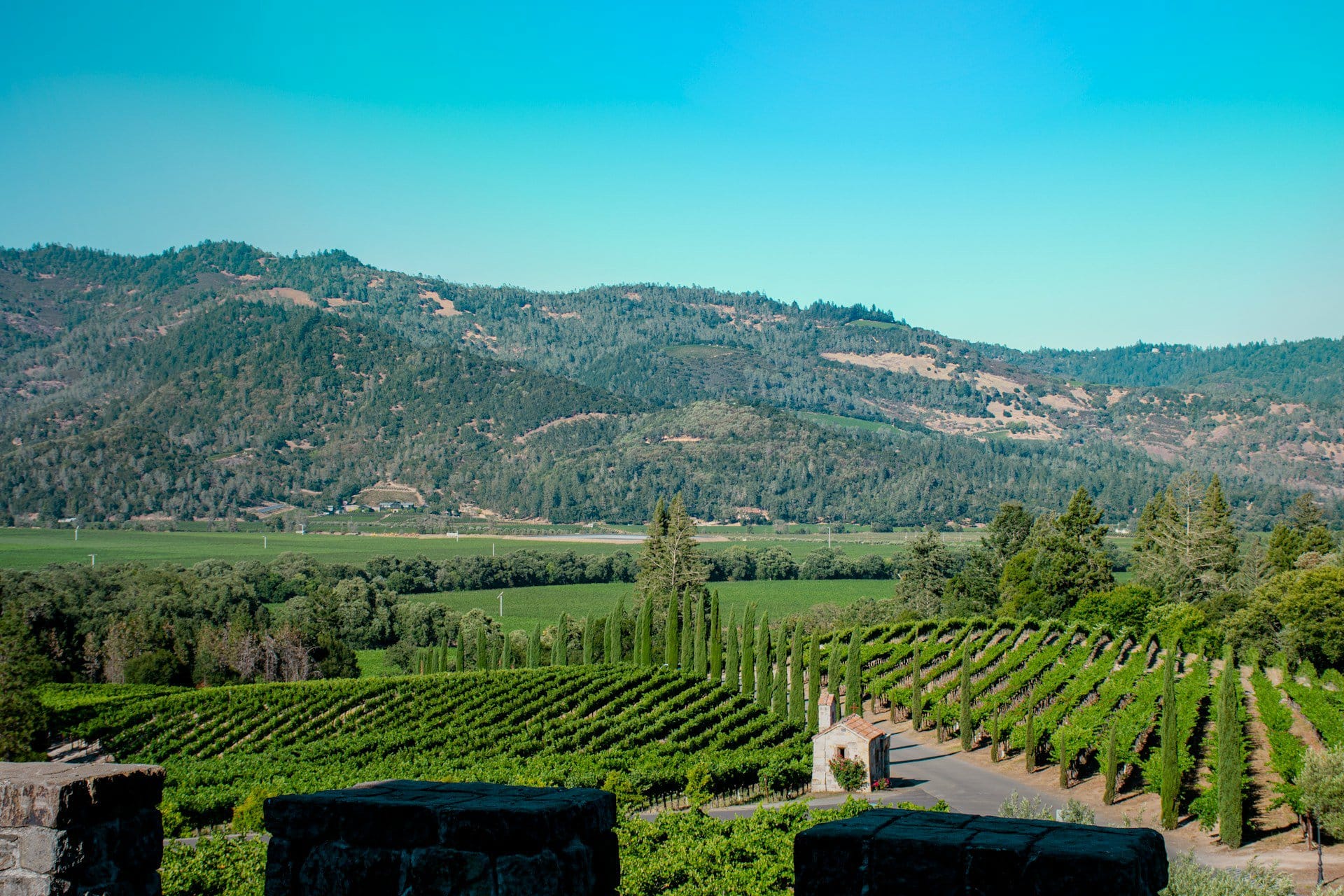 The ridges above the Napa River, California, near St. Helena