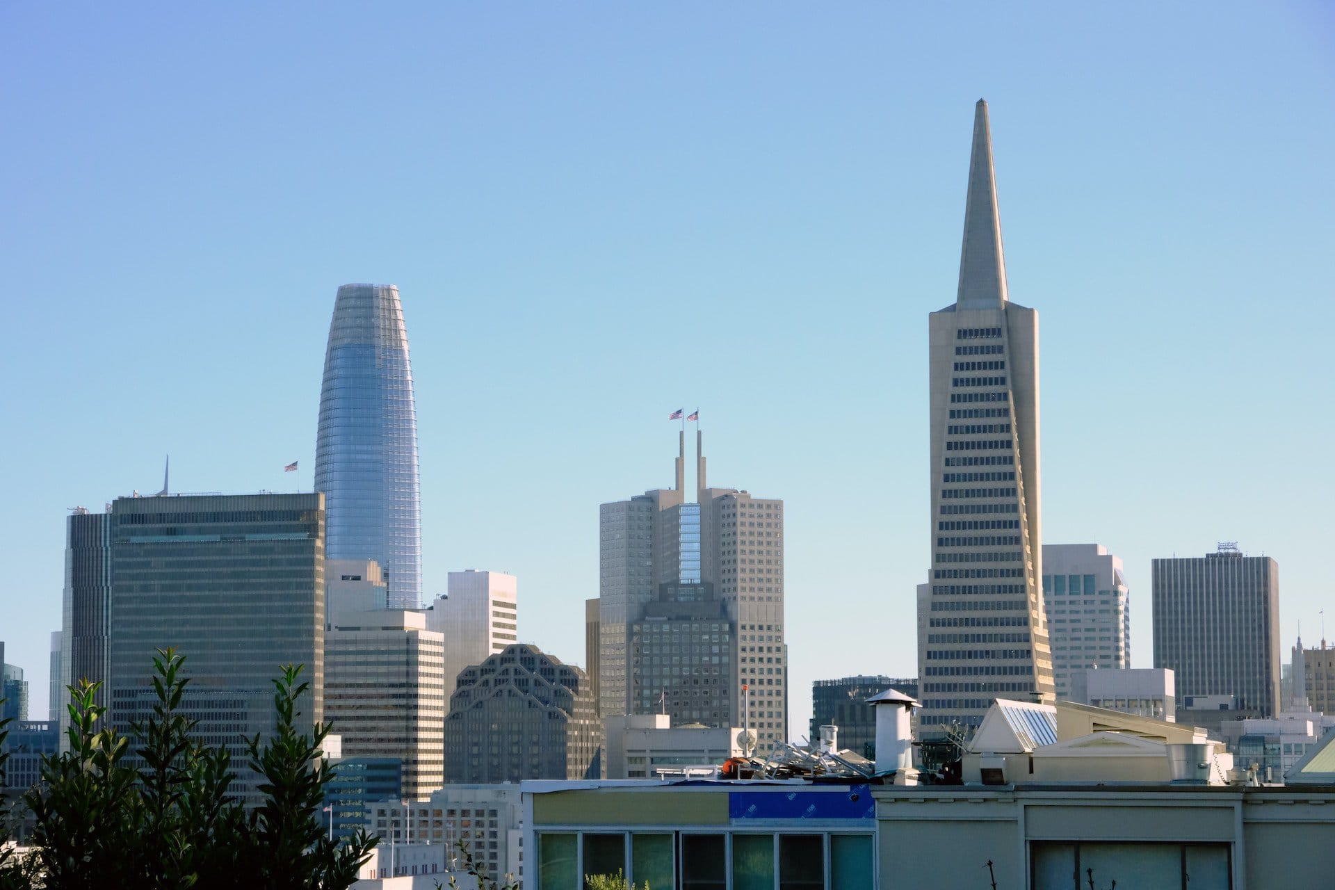 San Francisco skyline - Transamerica Pyramid and Salesforce Tower