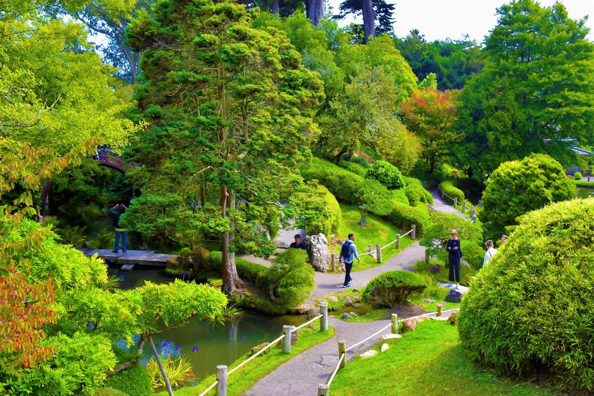 Golden Gate Park, San Francisco