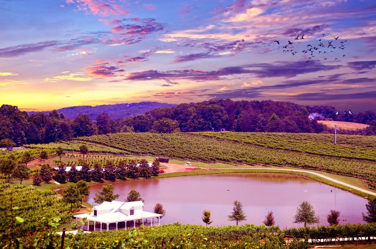Sunset in Napa Valley