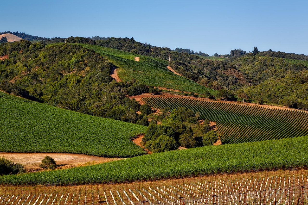 California's Tuscany in Napa Valley