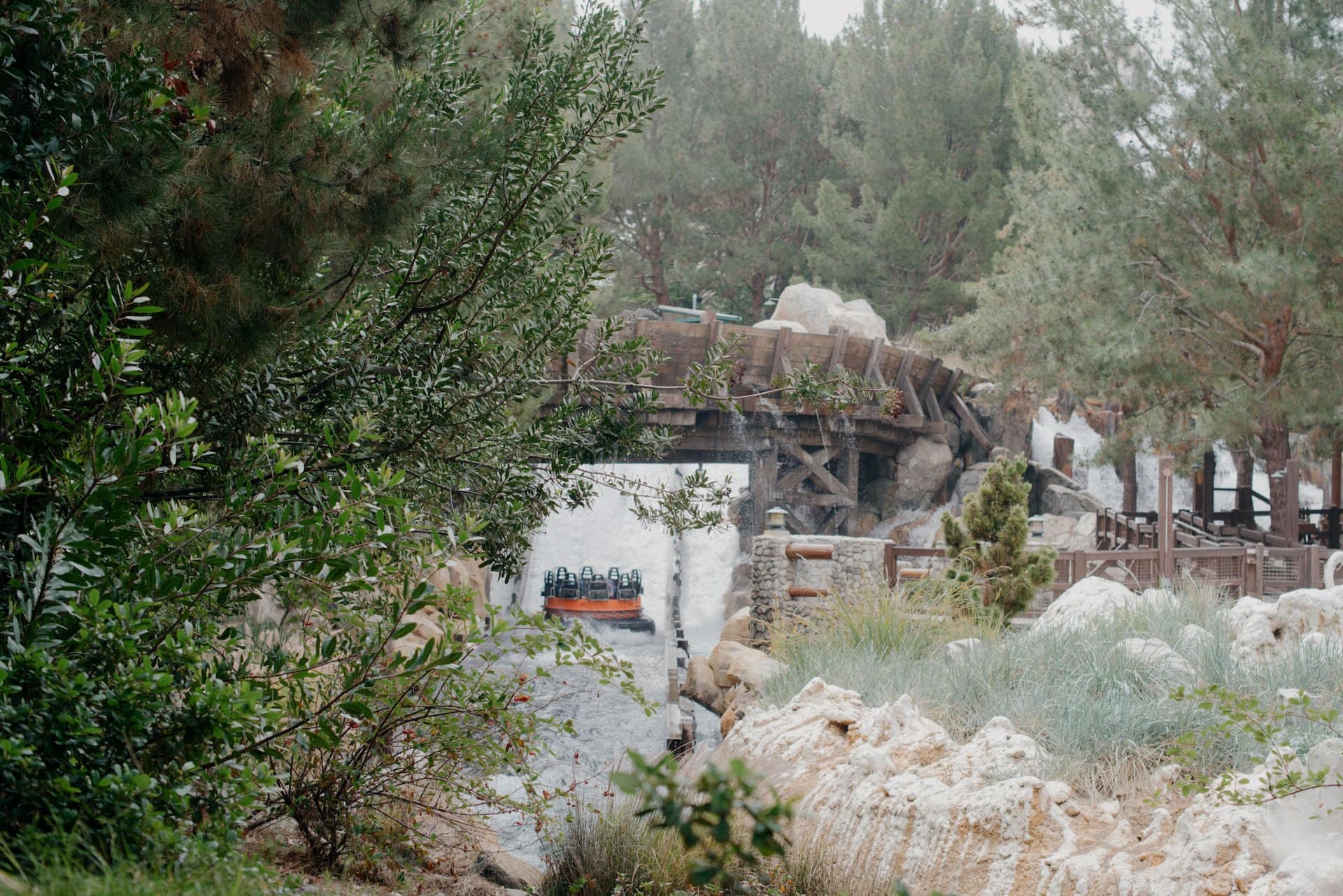 Jungle Cruise at Adventureland in Anaheim