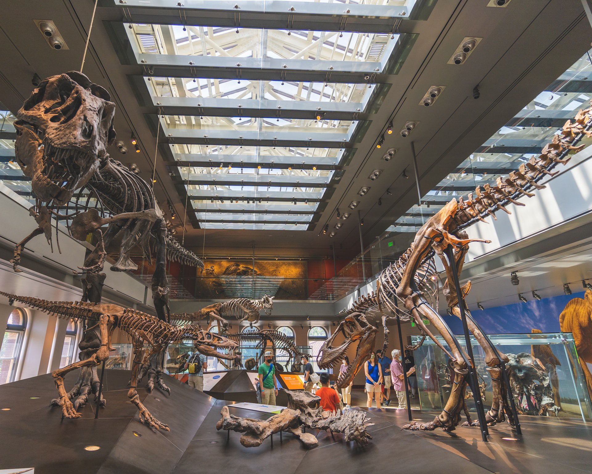 Dinosaurs at the Natural History Museum of Los Angeles County