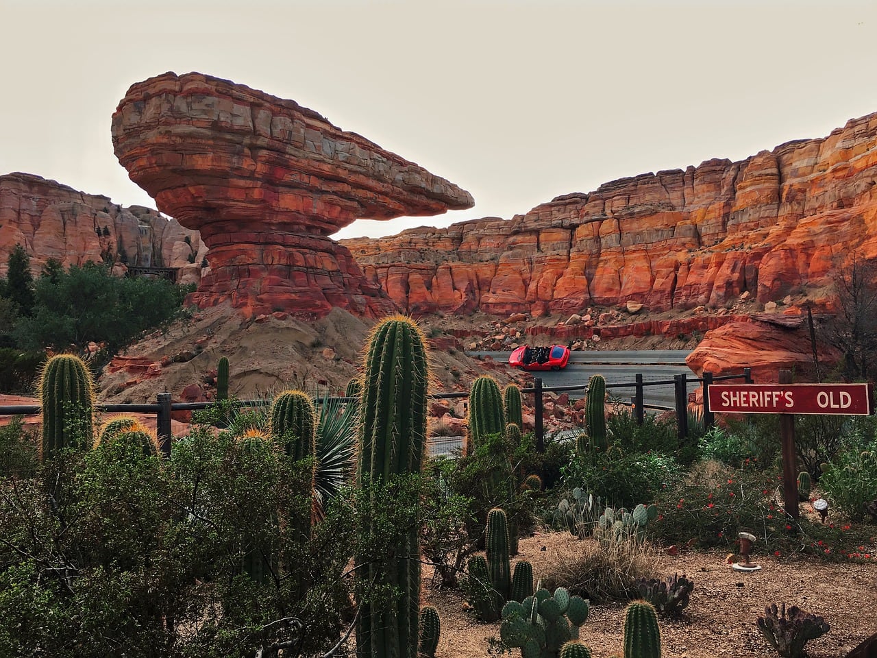 Radiator Springs Racers at Disney California Adventure Park