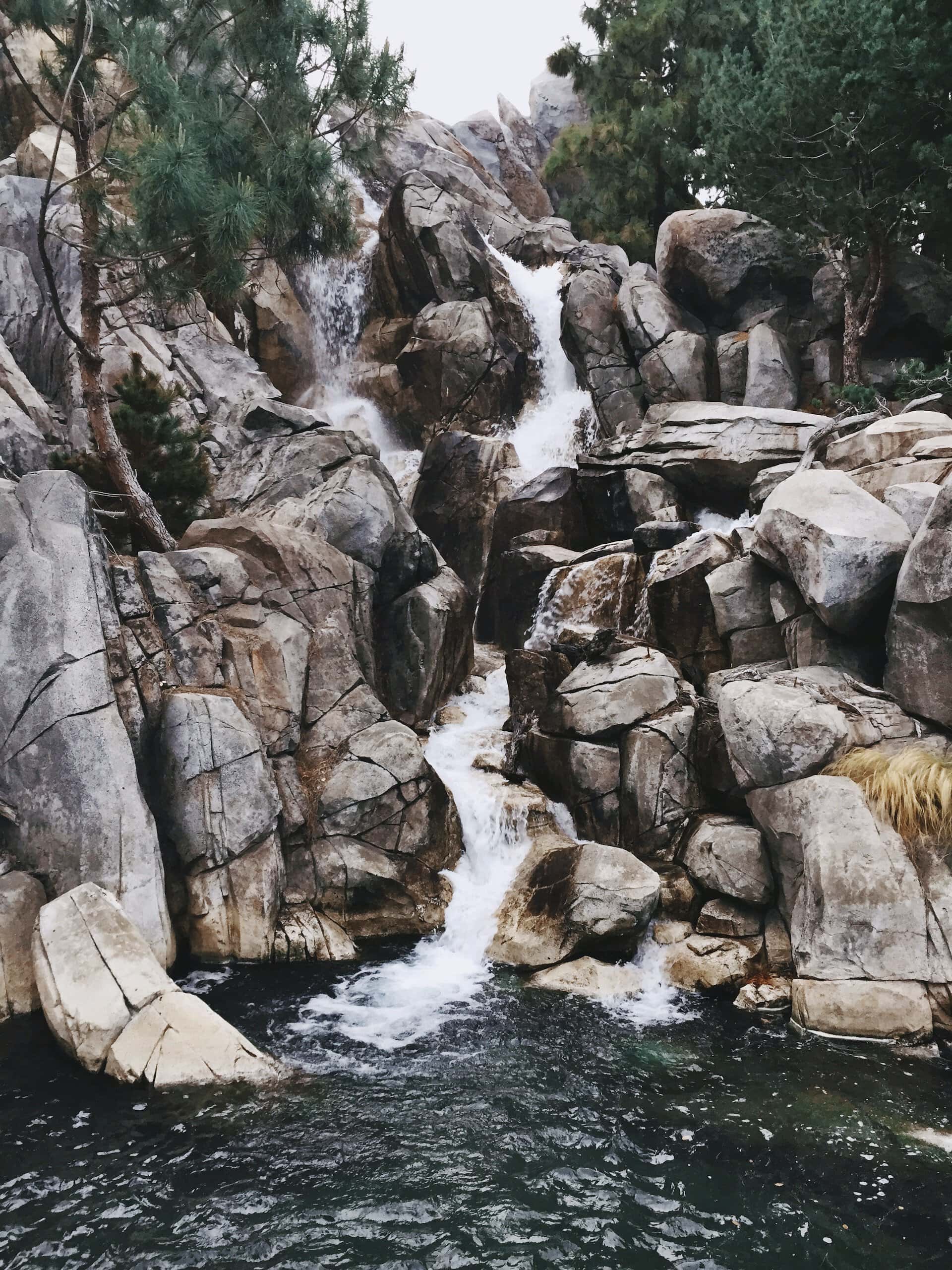 Redwood Creek Challenge Trail at Disney California Adventure Park in Anaheim