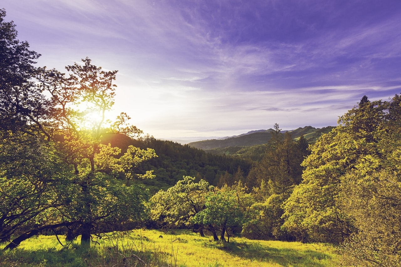 Sonoma Valley in California's wine country