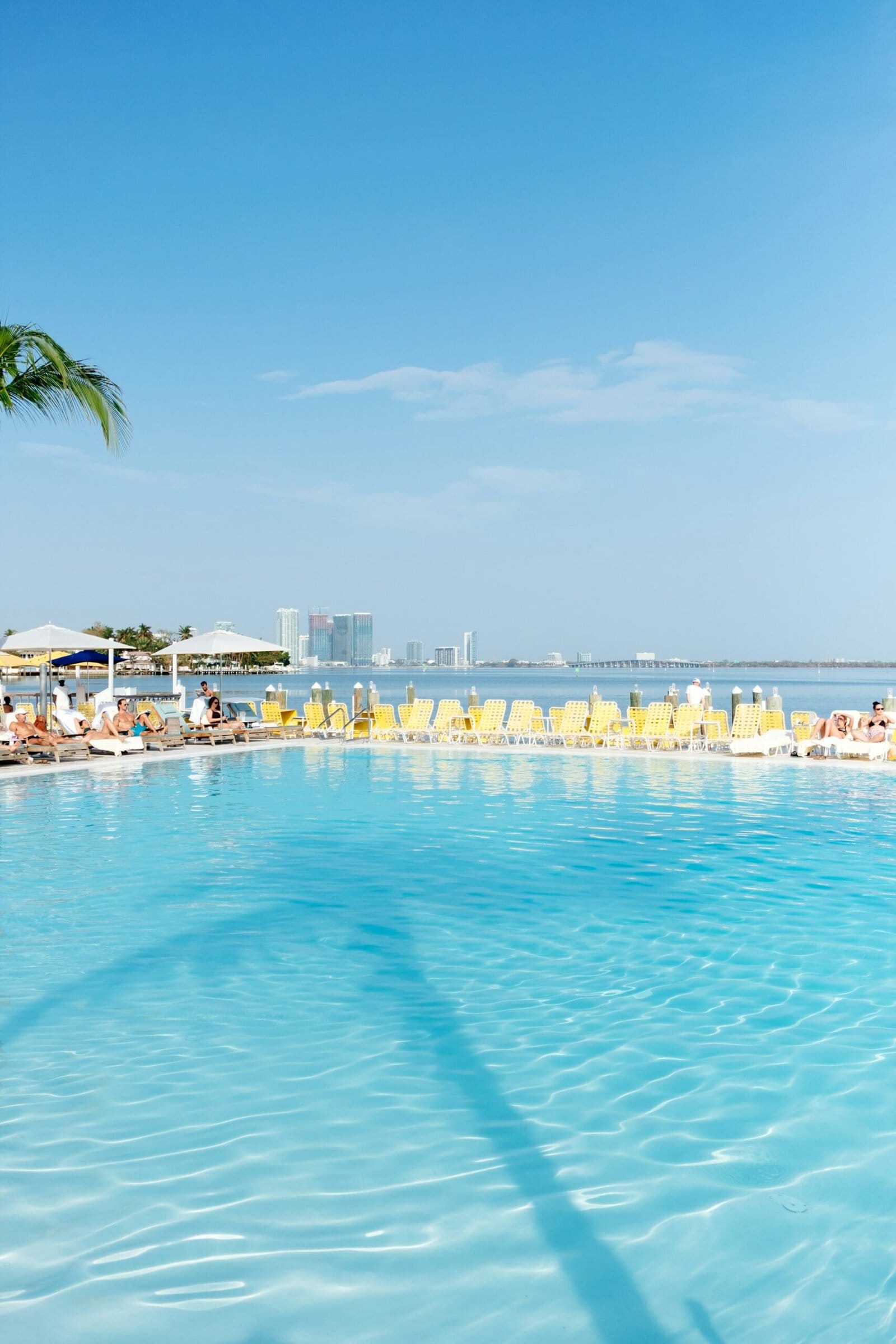 Hotel pool in Miami above the oceanfront
