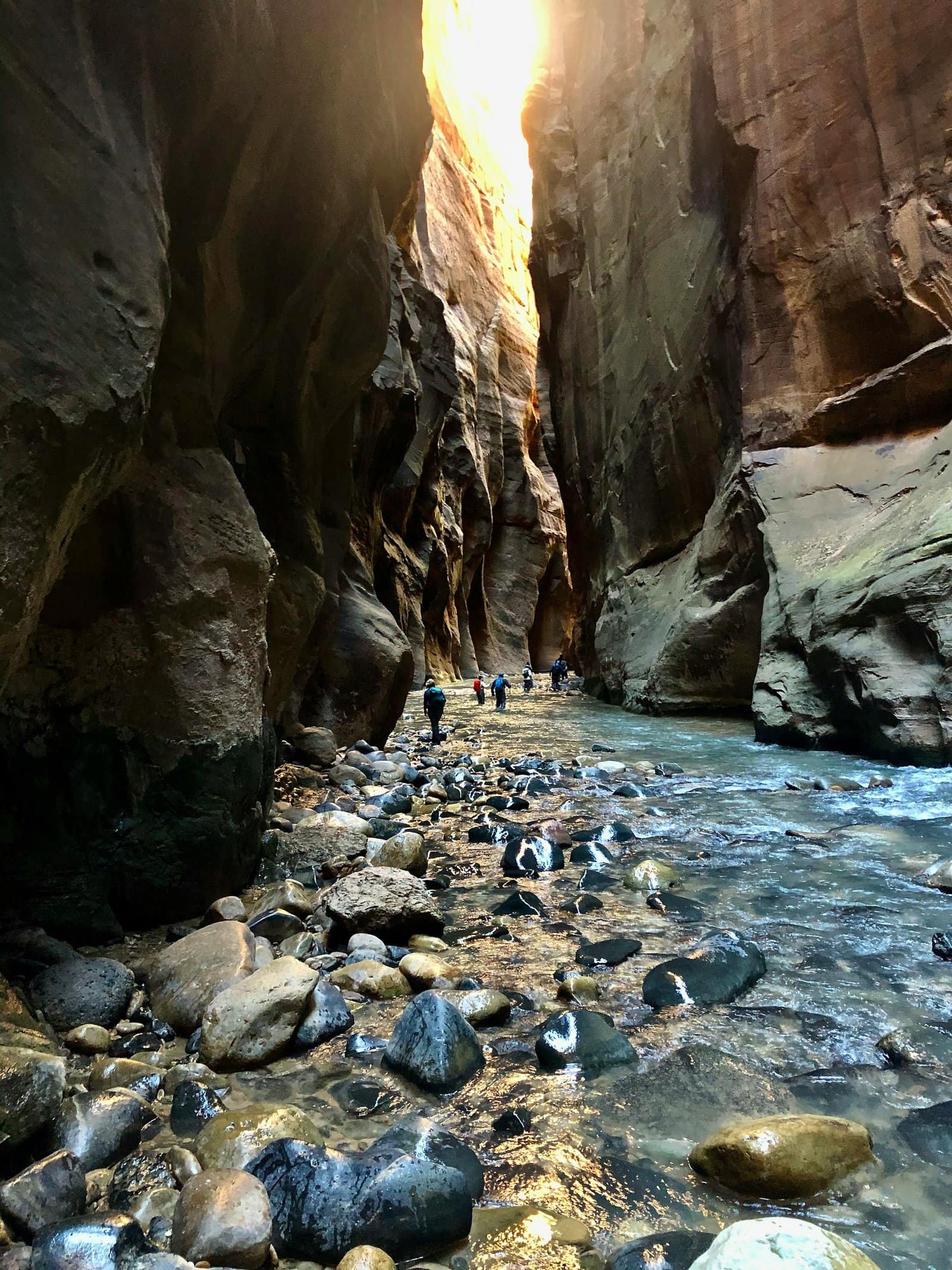 Walking along the Virgin River in the Narrows at Zion Park