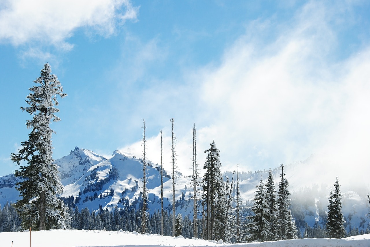 Mount Rainier National Park in snow